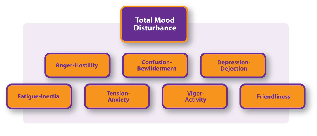 Key Areas Measured Chart with "Total Mood Disturbance" at the top, with six boxes: Anger-Hostility, Confusion-Bewilderment, Depression-Dejection, Fatigue-Inertia, Tension-Anxiety, Vigor-Activity, Friendliness.