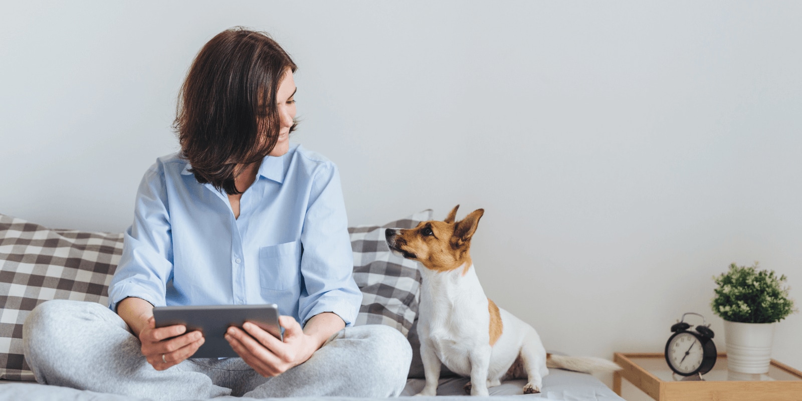 Person in blue shirt sitting on bed using a tablet, with a small dog looking at them, in a cozy room with minimal decor.